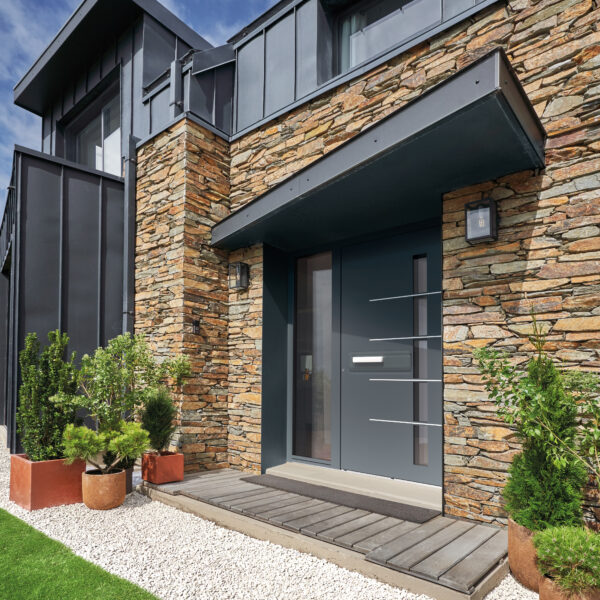 Porte d'entrée CARPE_DIEM_REVE-ASV1_SIT