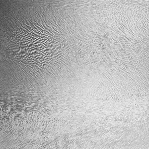 Vitrage Chinchilla clair