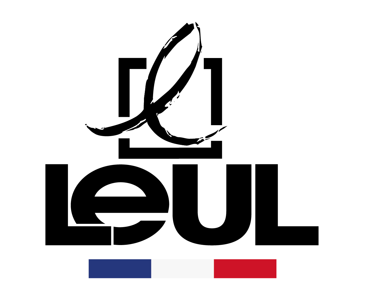 logo leul avec drapeau français - Menuiseries Fabrication française