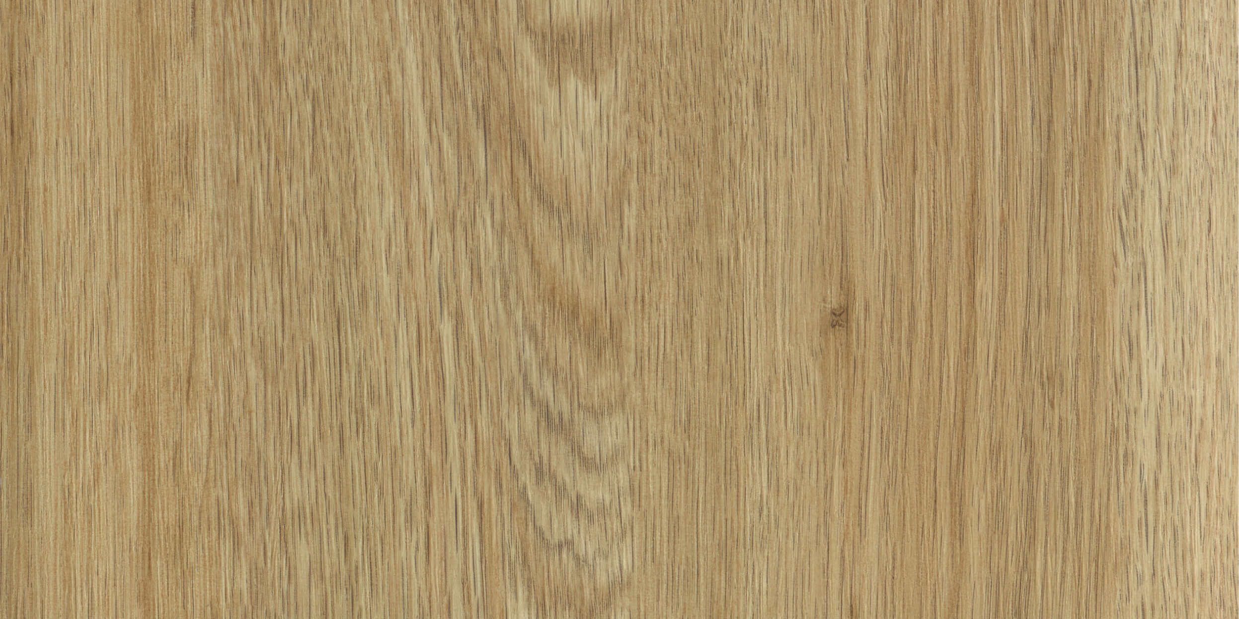 coriander oak
