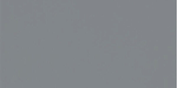 gris argenté lisse
